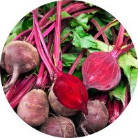 Fresh beetroots